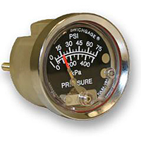 Pressure Swichgage with Polycarbonate Case A20P-75