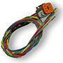 PVW-PW-30 PowerView 30 CAN & Power Loose Wiring Harness
